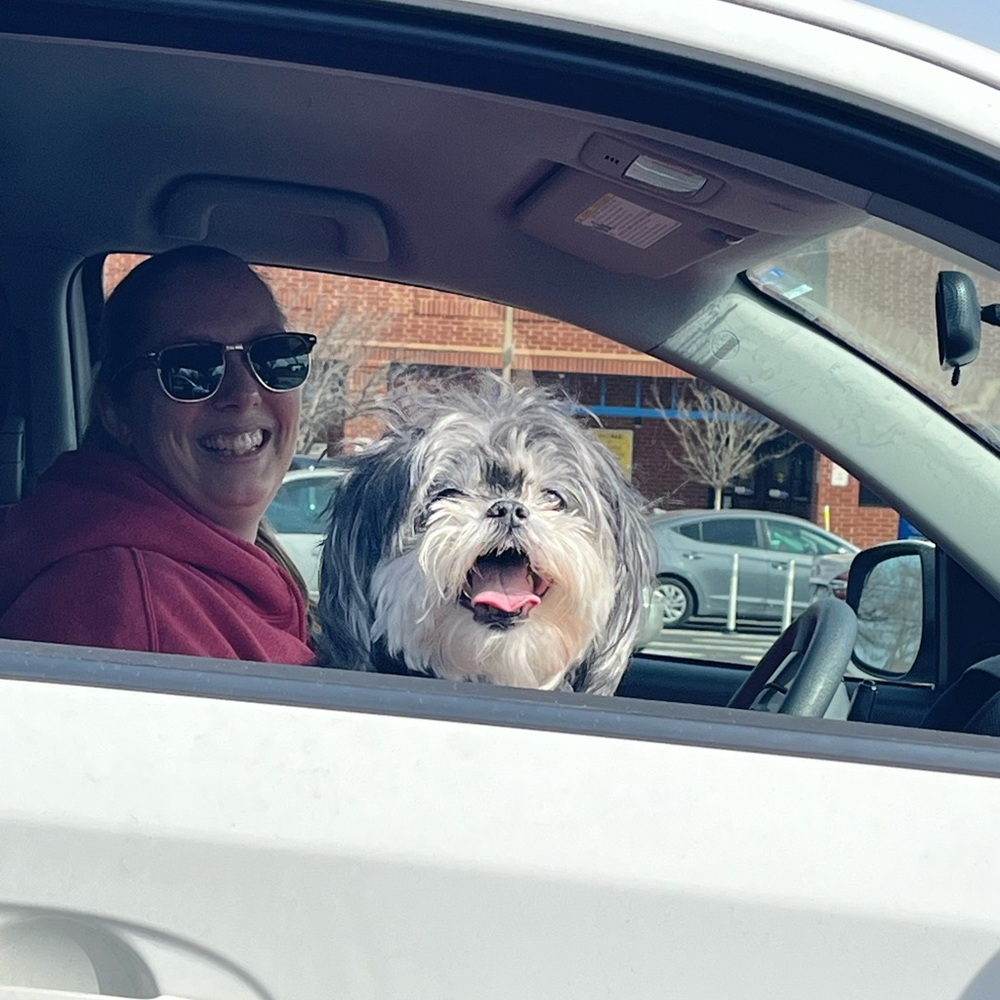 The_green_moth This Listing To Get Notified When … - image 3